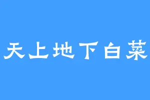 天上地下白菜