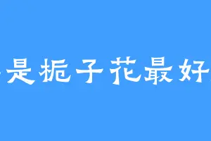 当然是栀子花最好闻啦