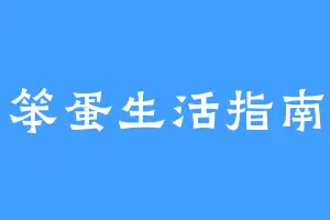 笨蛋生活指南