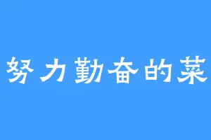 努力勤奋的菜