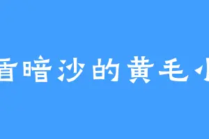 金盾暗沙的黄毛小子