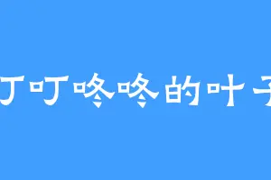 叮叮咚咚的叶子