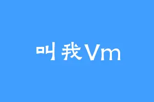 叫我Vm