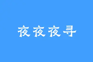 夜夜夜寻
