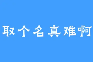 取个名真难啊