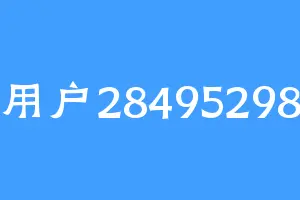 用户28495298