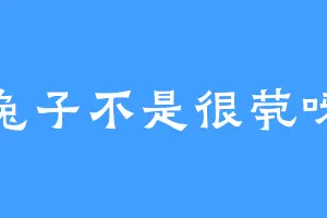 兔子不是很茕呀