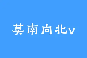 莫南向北v