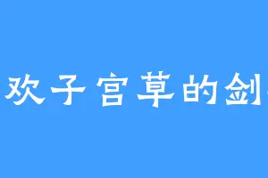 喜欢子宫草的剑凌