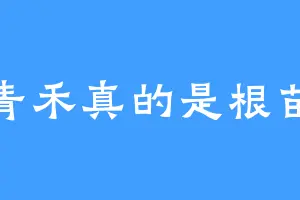 青禾真的是根苗