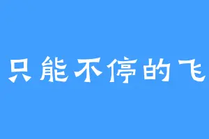 只能不停的飞
