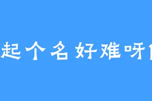 起个名好难呀1